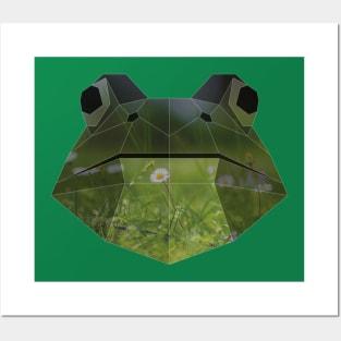 Frog Low Poly Double Exposure Art Posters and Art